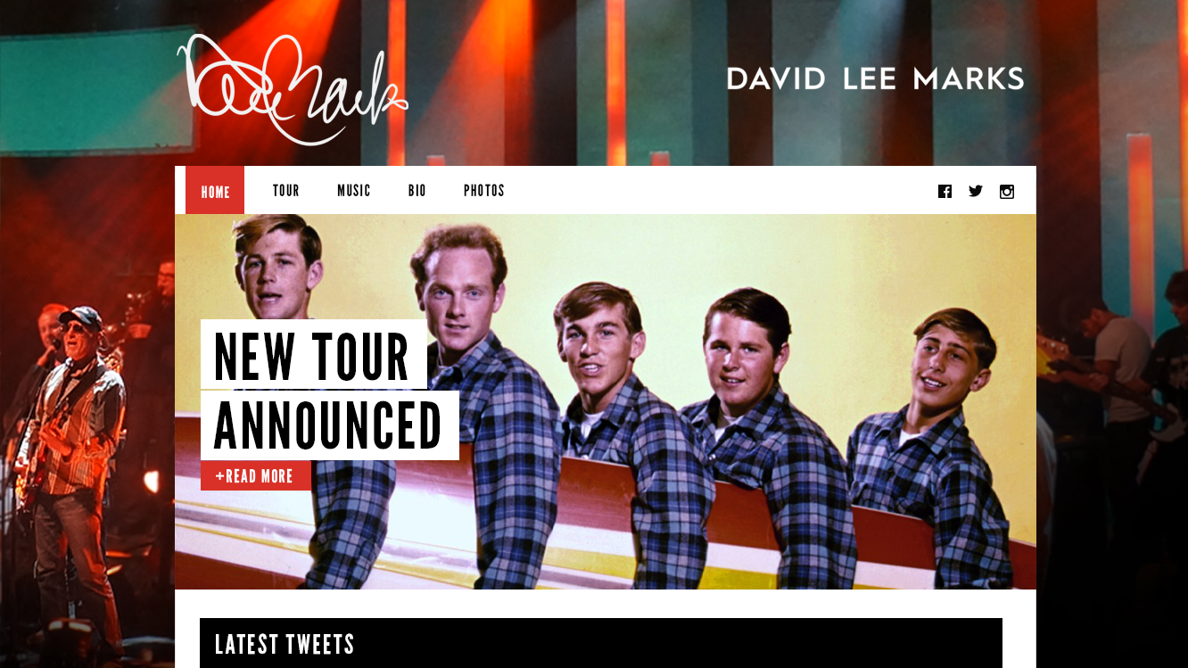 David Lee Marks website design